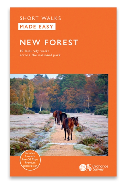 New Forest - 