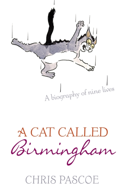Cat Called Birmingham - Chris Pascoe