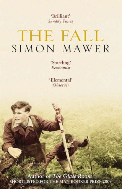 Fall - Simon Mawer