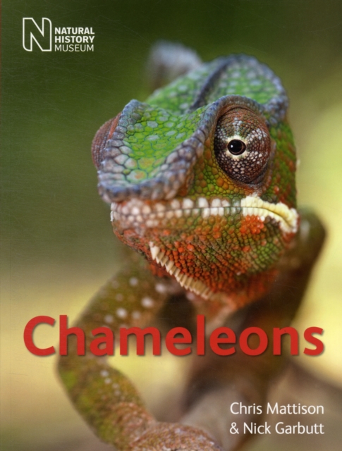 Chameleons - Chris|garbutt Mattison