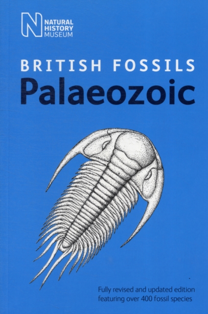 British Palaeozoic Fossils - 