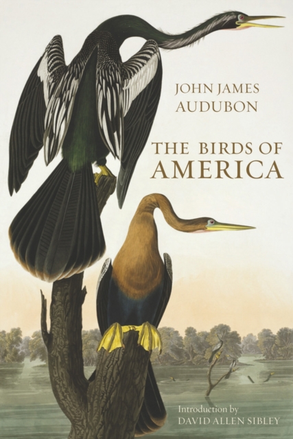 Birds of America - John James Audubon