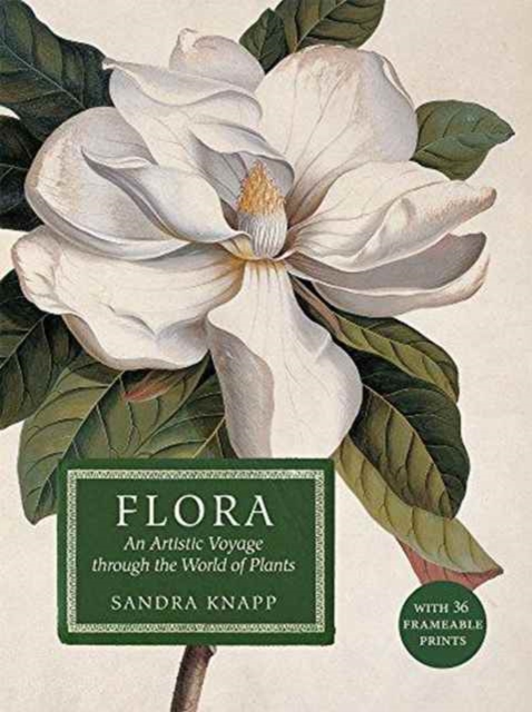 Flora: An Artistic Voyage Through the World of Plants - Sandra Knapp