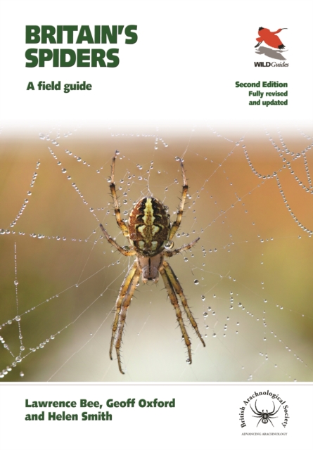 Britain's Spiders - Lawrence|oxford Bee