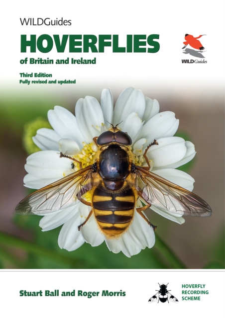 Hoverflies of Britain and Ireland - Stuart|morris Ball