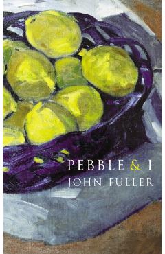 Coperta cărții 'Pebble & I - John Fuller'