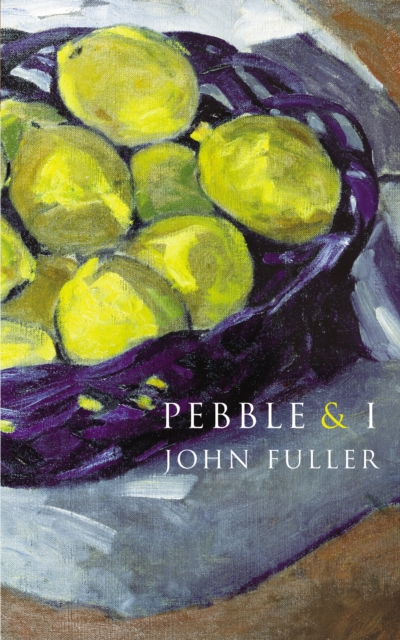 Coperta cărții 'Pebble & I - John Fuller'