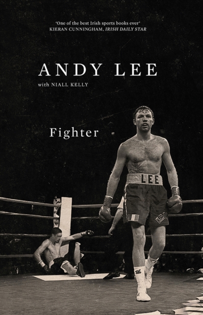 Fighter - Andy Lee