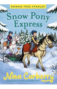 Coperta cărții 'Rowan Tree Stables 3 - Snow Pony Express - Nina Carberry'