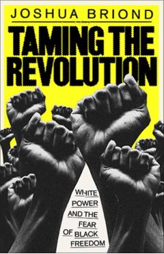 Taming the Revolution - Joshua Briond