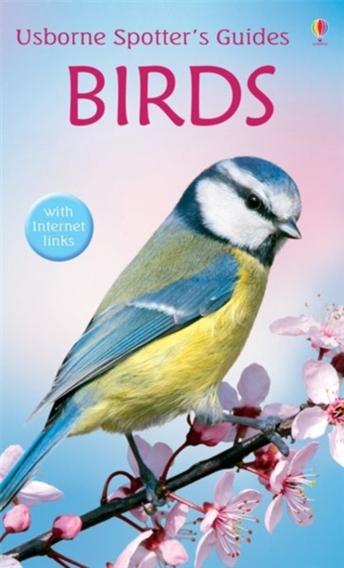 Birds - Peter Holden