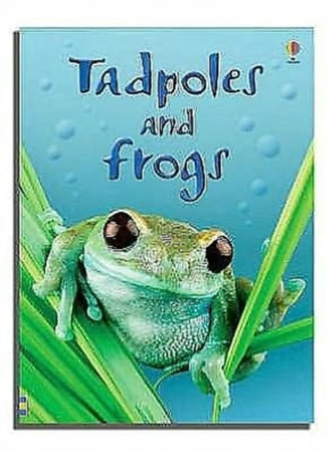 Tadpoles and Frogs - Anna Milbourne