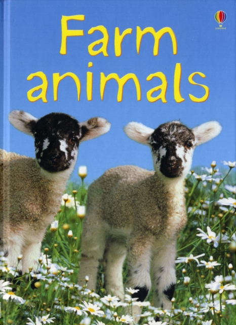 Farm Animals - Katie Daynes