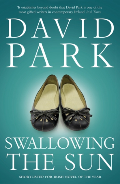 Swallowing the Sun - David Park