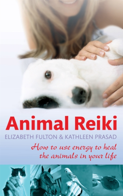 Animal Reiki - Elizabeth|prasad Fulton