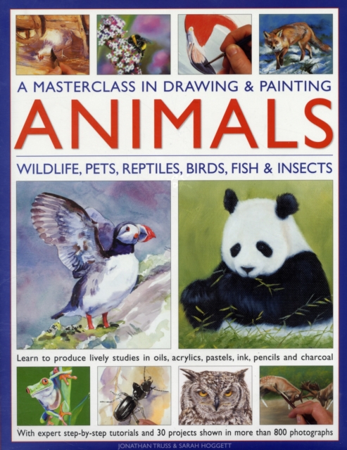 Masterclass in Drawing & Painting Animals - Jonathan & Hoggett Truss