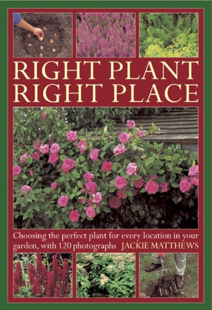 Right Plant Right Place - Jackie Matthews