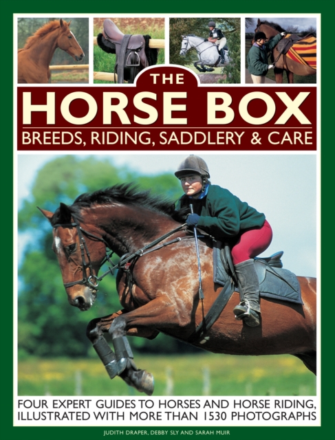 Horse Box: Breeds, Riding, Saddlery & Care - 