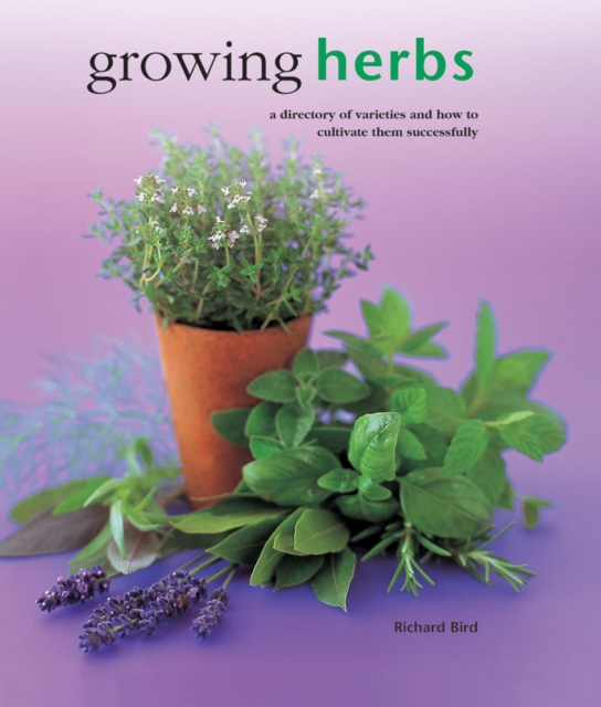 Growing Herbs - 