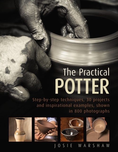 Practical Potter - Josie Warshaw