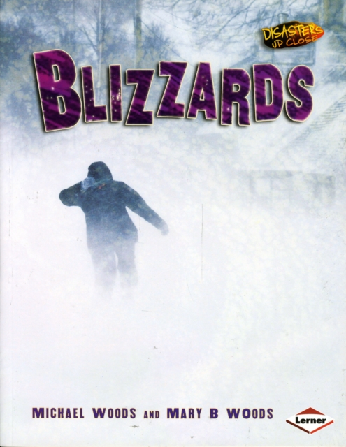 Blizzards - Mary B.|woods Woods