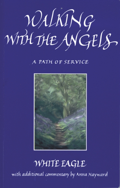 Walking with the Angels - 