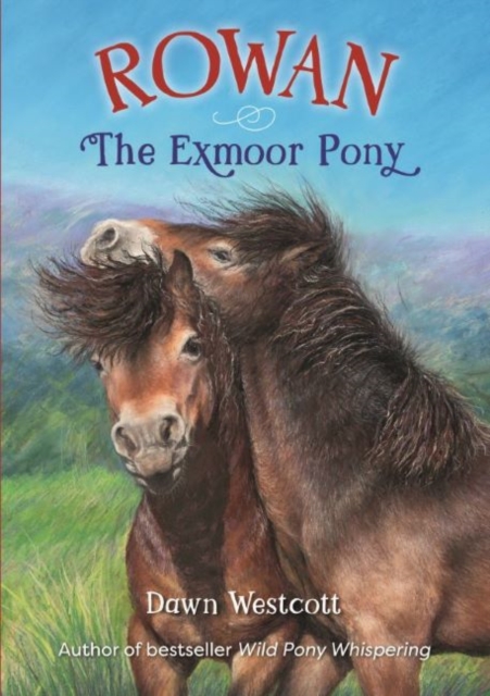 Rowan The Exmoor Pony - Dawn Westcott