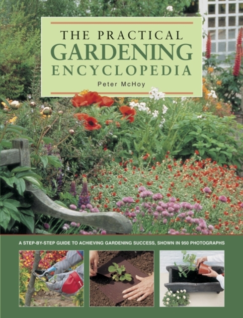 Practical Gardening Encyclopedia - Peter Mchoy