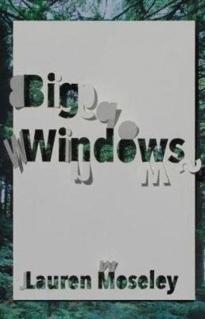 Big Windows - Lauren Moseley