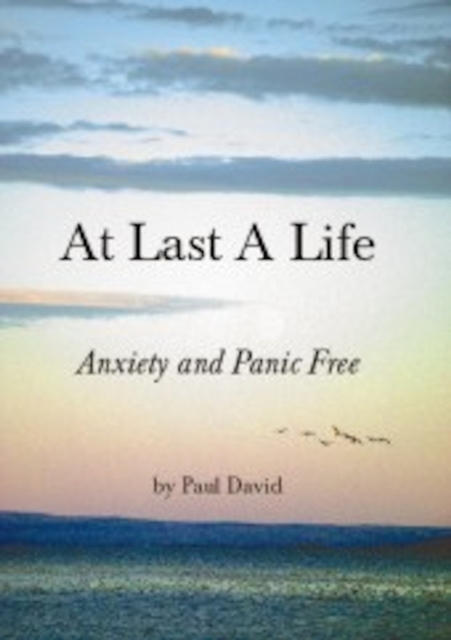 At Last a Life - Paul David