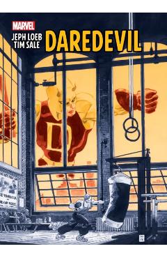 Jeph Loeb & Tim Sale: Daredevil - Jeph Loeb