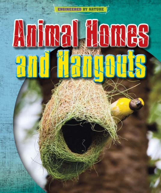 Animal Homes and Hang-outs - Louise|spilsbury Spilsbury