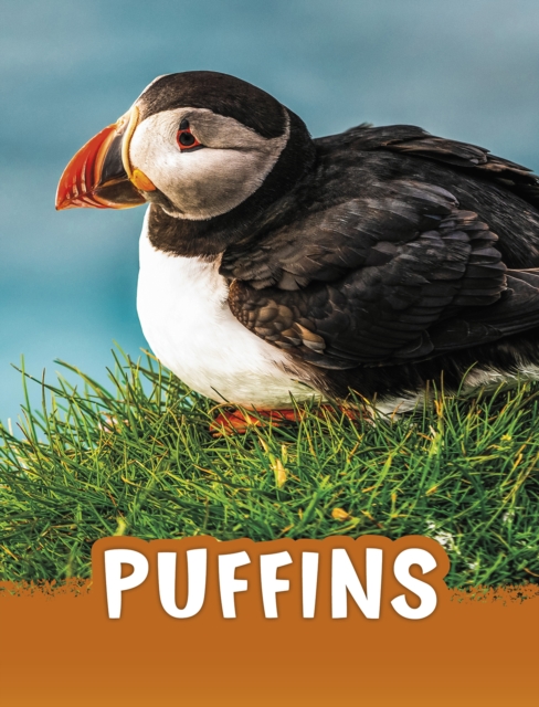 Puffins - Jaclyn Jaycox