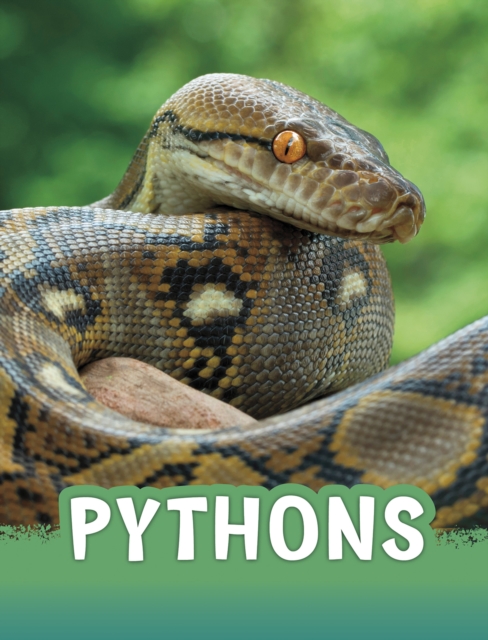 Pythons - Martha E. H. Rustad