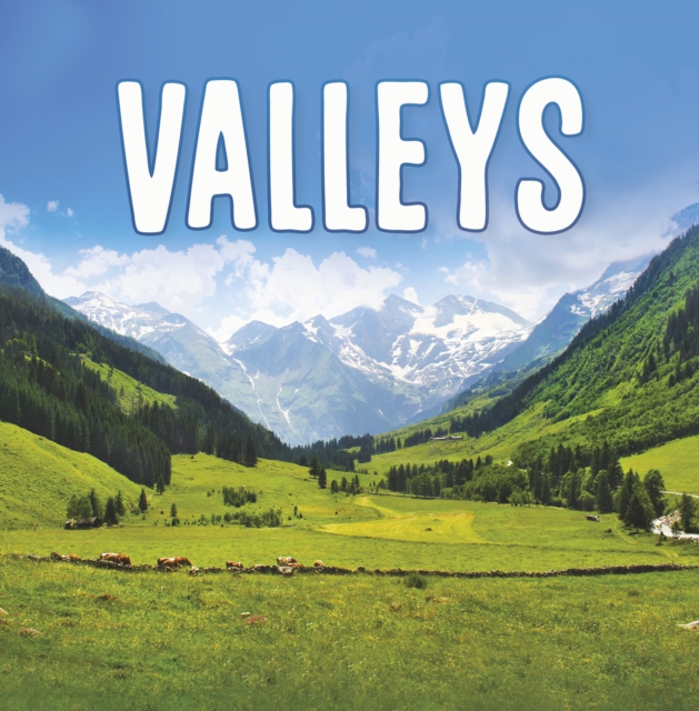 Valleys - Lisa J. Amstutz