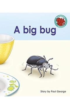 Coperta cărții 'big bug - Paul George'