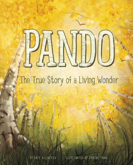 Pando - Author Kate Allen (author) Fox