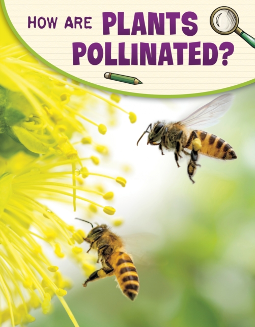 How Are Plants Pollinated? - Emily Raij