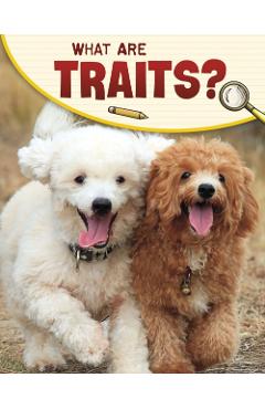 Poza produsului What Are Traits? - Emily Sohn