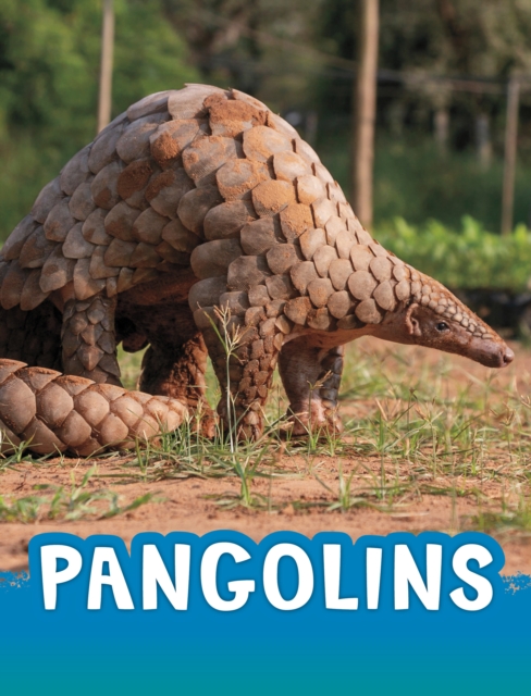 Pangolins - Jaclyn Jaycox