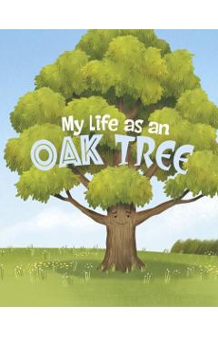 Coperta cărții 'My Life as an Oak Tree - John Sazaklis'