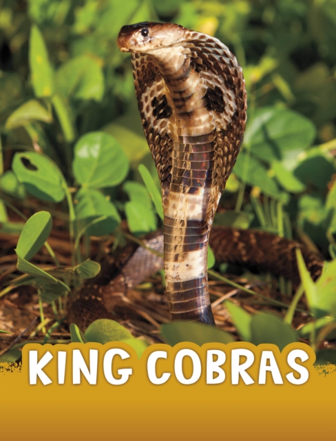 King Cobras - Jaclyn Jaycox