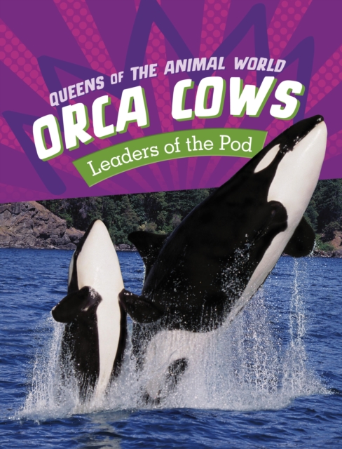 Orca Cows - Jaclyn Jaycox