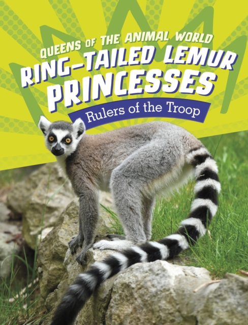 Ring-Tailed Lemur Princesses - Jaclyn Jaycox