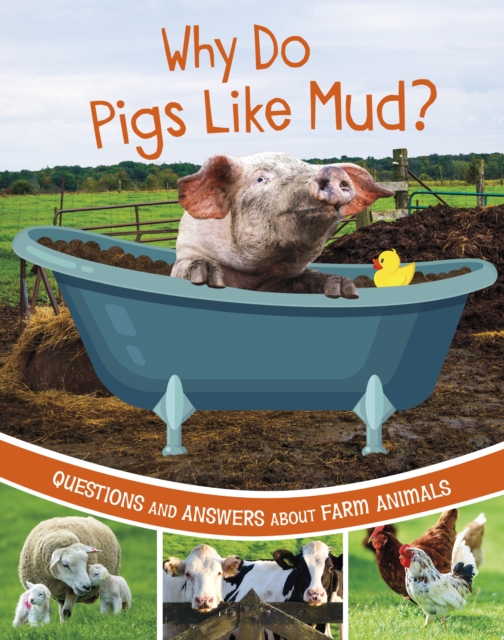 Why Do Pigs Like Mud? - Katherine Rawson