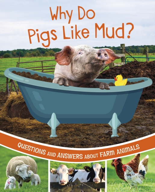 Why Do Pigs Like Mud? - Katherine Rawson