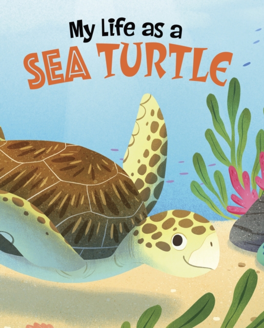 My Life as a Sea Turtle - John Sazaklis