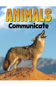 Poza produsului Animals Communicate - Nadia Ali