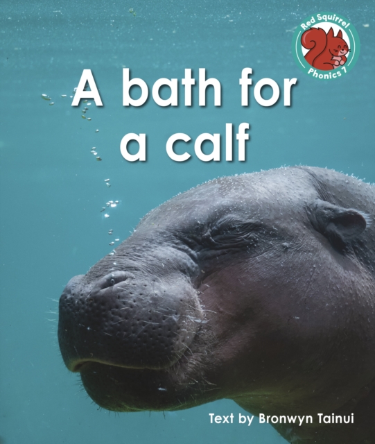 bath for a calf - Bronwyn Tainui