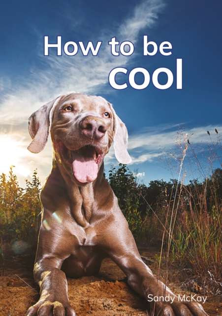 How to be cool - Sandy Mckay